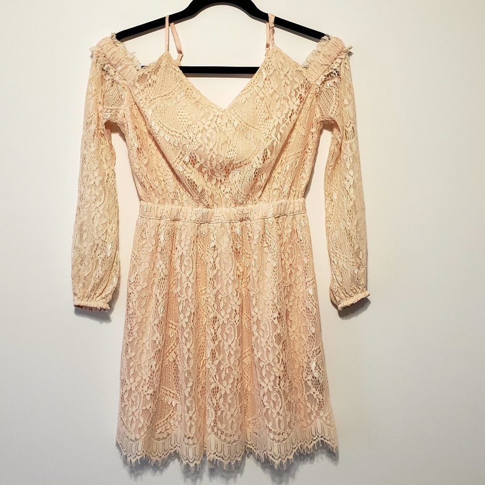 Light Pink Lace Dress (bebe)
